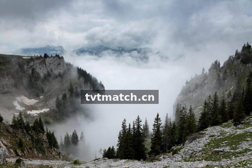 TVT体育 专业数据统计与分析预测视觉